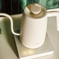 Electric Kettle Lyra