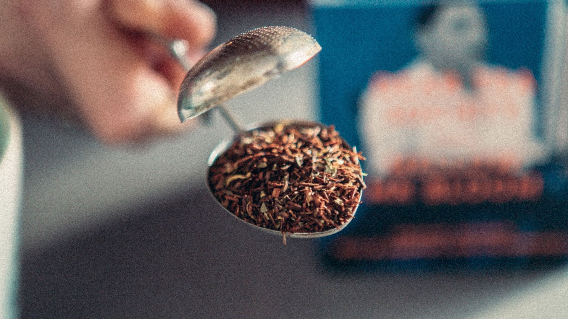 Rött te som inte är te – och hur du brygger rooibos rätt – Johan & Nyström