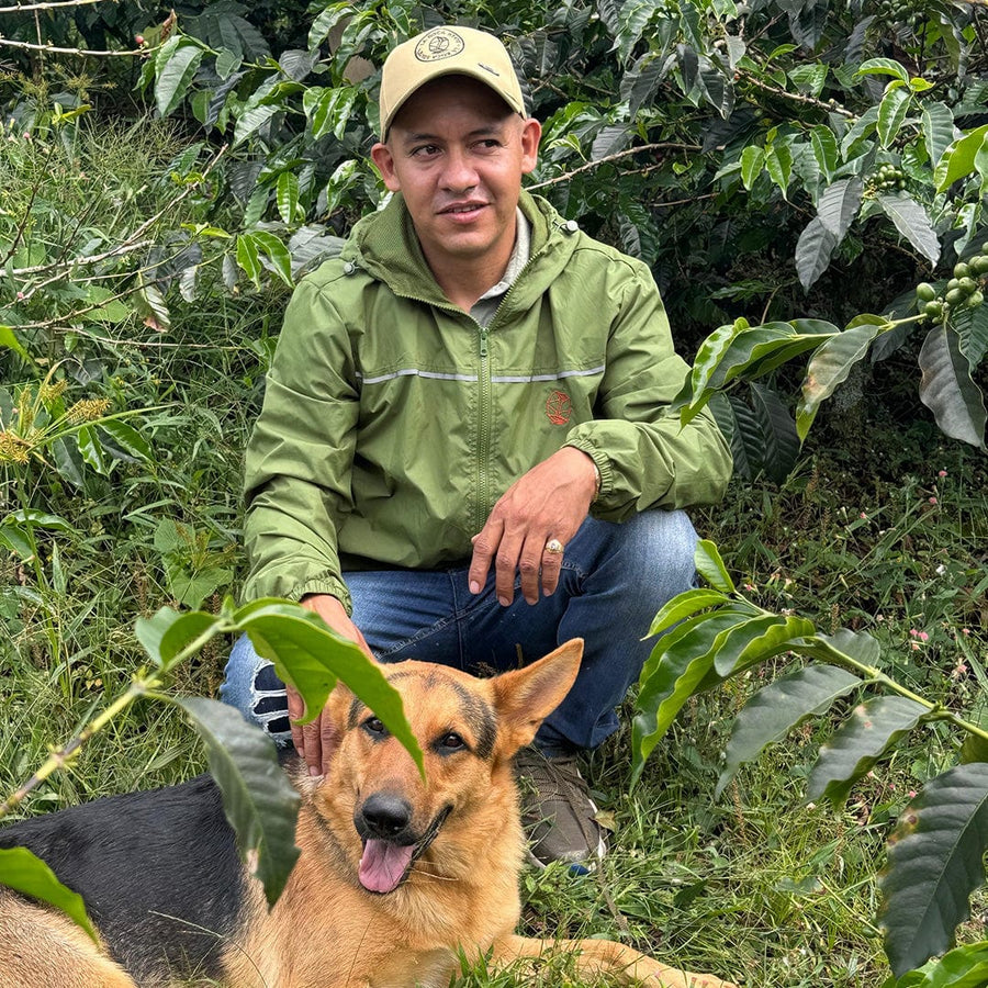 Jorge Elías Rojas Vásquez
