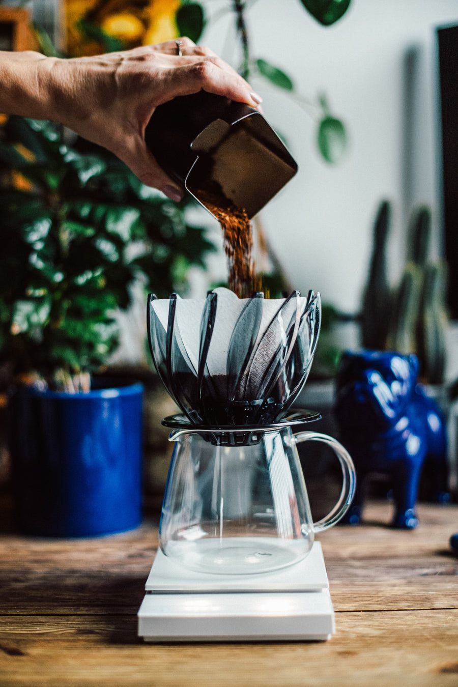 V60 Suiren Dripper